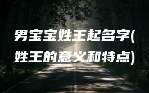 男宝宝姓王起名字(姓王的意义和特点)