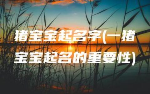 猪宝宝起名字(一猪宝宝起名的重要性)