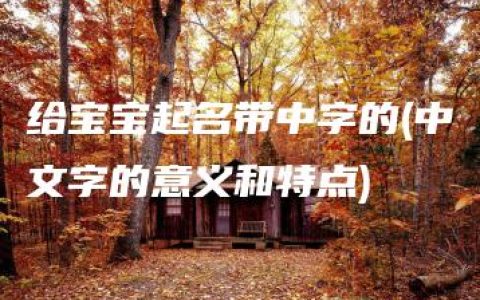 给宝宝起名带中字的(中文字的意义和特点)