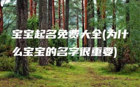 宝宝起名免费大全(为什么宝宝的名字很重要)