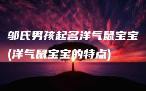 邬氏男孩起名洋气鼠宝宝(洋气鼠宝宝的特点)