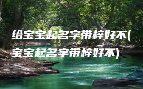 给宝宝起名字带梓好不(宝宝起名字带梓好不)