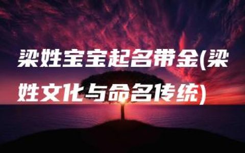 梁姓宝宝起名带金(梁姓文化与命名传统)