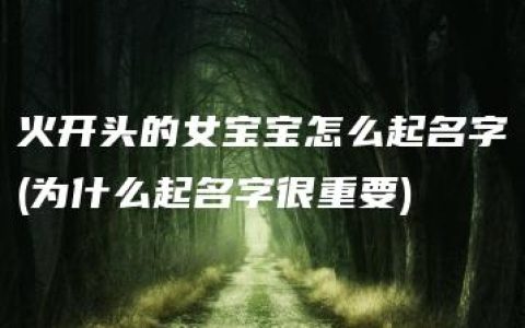 火开头的女宝宝怎么起名字(为什么起名字很重要)