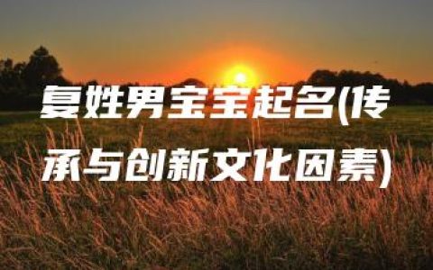 复姓男宝宝起名(传承与创新文化因素)