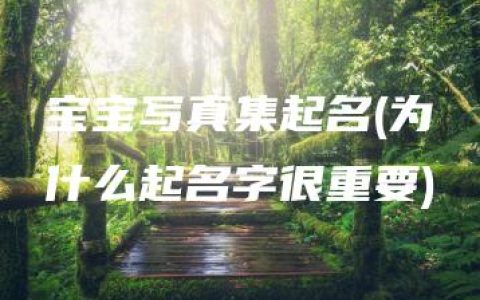 宝宝写真集起名(为什么起名字很重要)