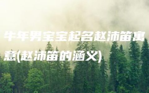 牛年男宝宝起名赵沛笛寓意(赵沛笛的涵义)