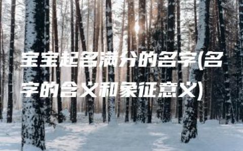 宝宝起名满分的名字(名字的含义和象征意义)