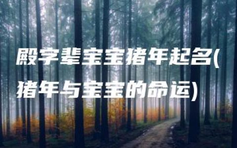 殿字辈宝宝猪年起名(猪年与宝宝的命运)