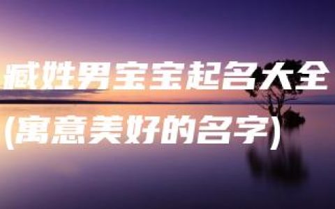 臧姓男宝宝起名大全(寓意美好的名字)