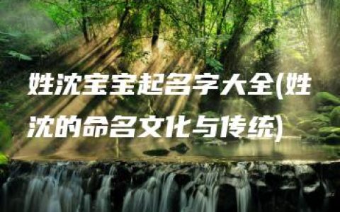 姓沈宝宝起名字大全(姓沈的命名文化与传统)