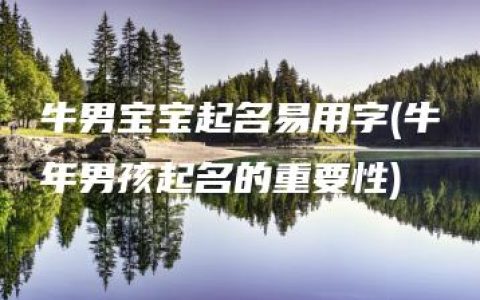 牛男宝宝起名易用字(牛年男孩起名的重要性)