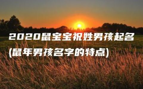 2020鼠宝宝祝姓男孩起名(鼠年男孩名字的特点)