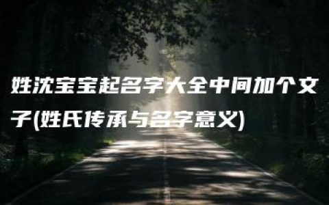 姓沈宝宝起名字大全中间加个文子(姓氏传承与名字意义)