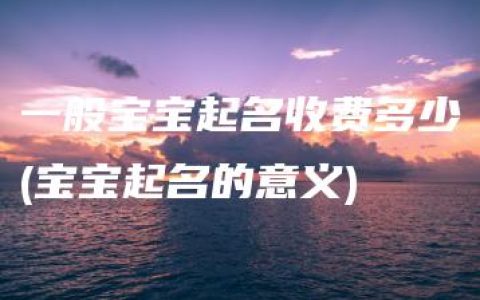 一般宝宝起名收费多少(宝宝起名的意义)