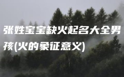 张姓宝宝缺火起名大全男孩(火的象征意义)