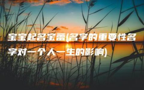 宝宝起名宝蕾(名字的重要性名字对一个人一生的影响)