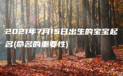 2021年7月15日出生的宝宝起名(命名的重要性)