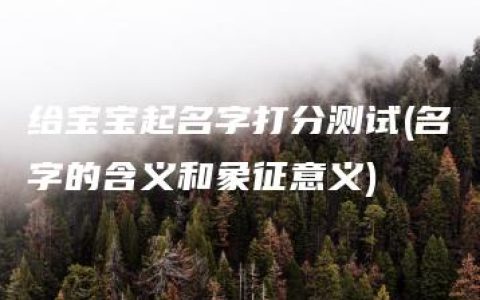 给宝宝起名字打分测试(名字的含义和象征意义)