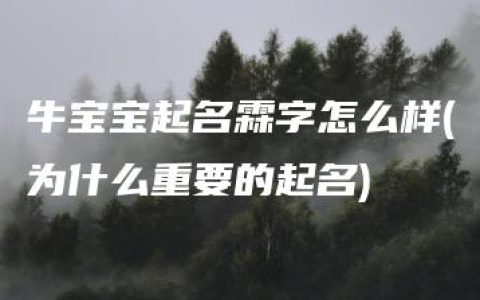 牛宝宝起名霖字怎么样(为什么重要的起名)