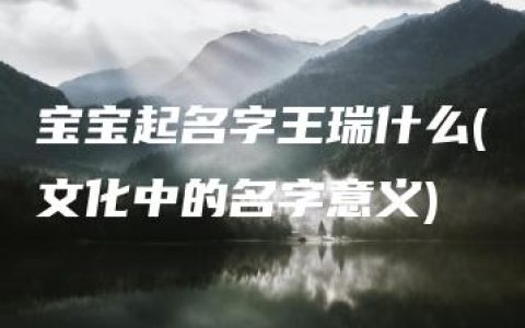 宝宝起名字王瑞什么(文化中的名字意义)