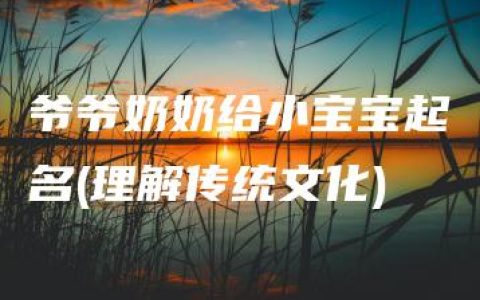 爷爷奶奶给小宝宝起名(理解传统文化)