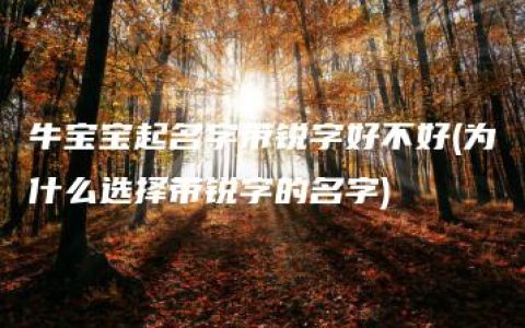 牛宝宝起名字带锐字好不好(为什么选择带锐字的名字)