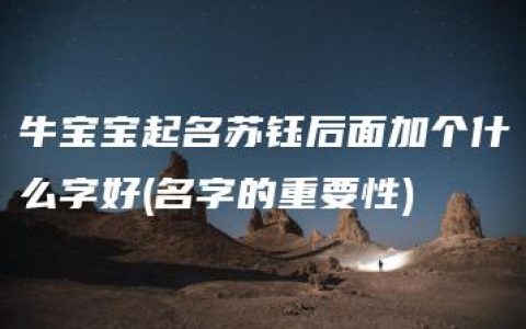 牛宝宝起名苏钰后面加个什么字好(名字的重要性)