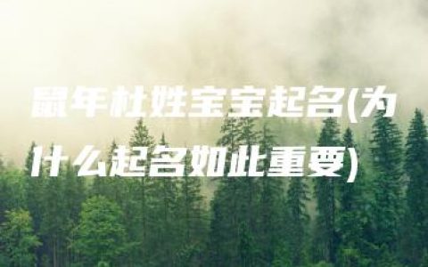 鼠年杜姓宝宝起名(为什么起名如此重要)