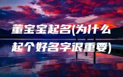 董宝宝起名(为什么起个好名字很重要)