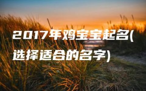 2017年鸡宝宝起名(选择适合的名字)