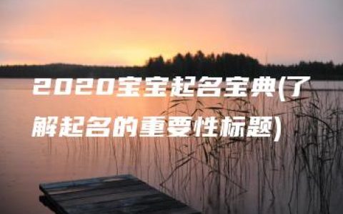 2020宝宝起名宝典(了解起名的重要性标题)