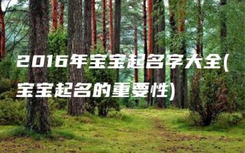 2016年宝宝起名字大全(宝宝起名的重要性)