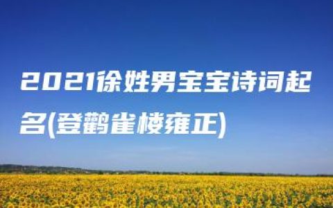 2021徐姓男宝宝诗词起名(登鹳雀楼雍正)