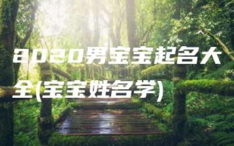 2020男宝宝起名大全(宝宝姓名学)