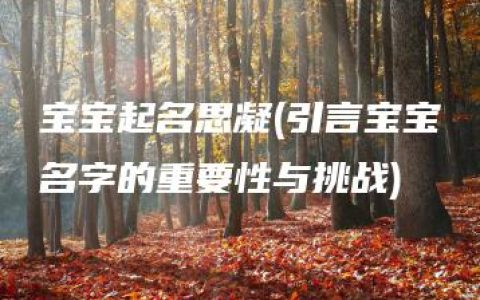 宝宝起名思凝(引言宝宝名字的重要性与挑战)