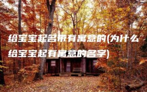 给宝宝起名带有寓意的(为什么给宝宝起有寓意的名字)