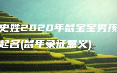 史姓2020年鼠宝宝男孩起名(鼠年象征意义)