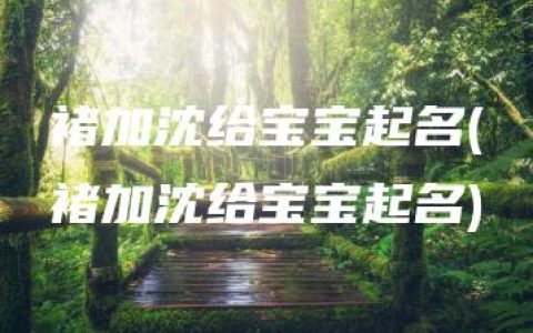 褚加沈给宝宝起名(褚加沈给宝宝起名)