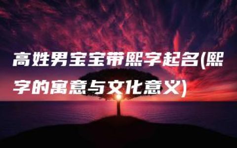 高姓男宝宝带熙字起名(熙字的寓意与文化意义)