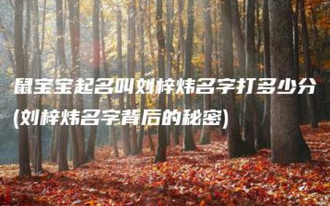 鼠宝宝起名叫刘梓炜名字打多少分(刘梓炜名字背后的秘密)