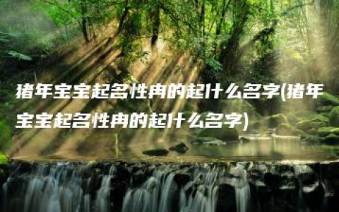 猪年宝宝起名性冉的起什么名字(猪年宝宝起名性冉的起什么名字)