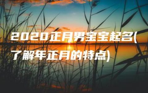 2020正月男宝宝起名(了解年正月的特点)