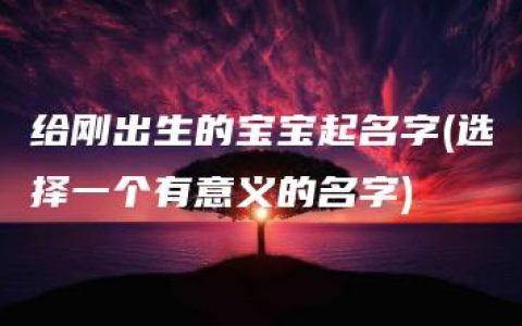 给刚出生的宝宝起名字(选择一个有意义的名字)