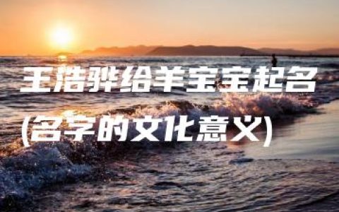 王浩骅给羊宝宝起名(名字的文化意义)