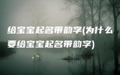 给宝宝起名带韵字(为什么要给宝宝起名带韵字)