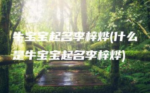 牛宝宝起名李梓烨(什么是牛宝宝起名李梓烨)