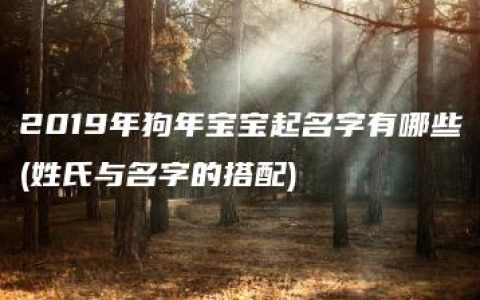 2019年狗年宝宝起名字有哪些(姓氏与名字的搭配)