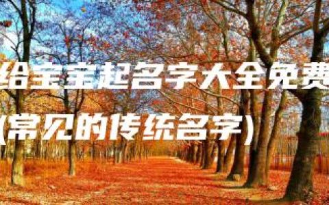 给宝宝起名字大全免费(常见的传统名字)