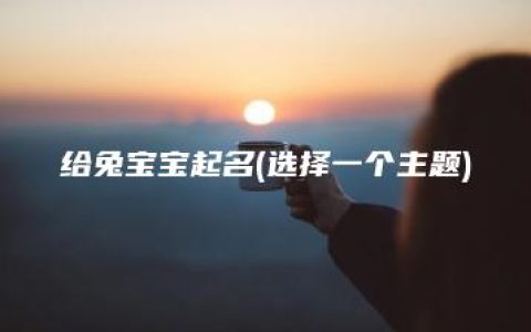 给兔宝宝起名(选择一个主题)